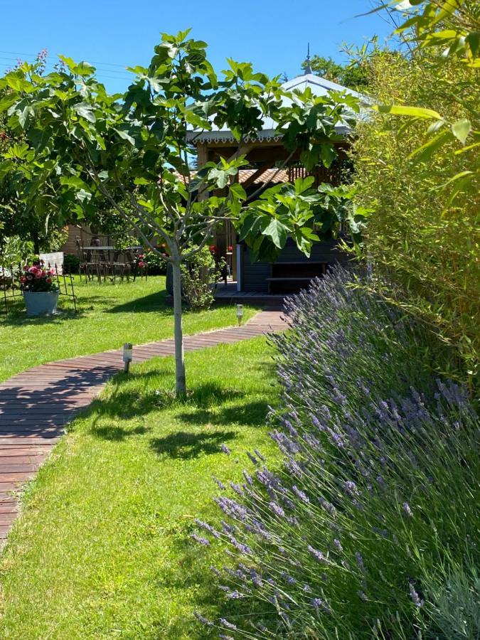 Celine Et Olivier Bed & Breakfast Pornic Ngoại thất bức ảnh